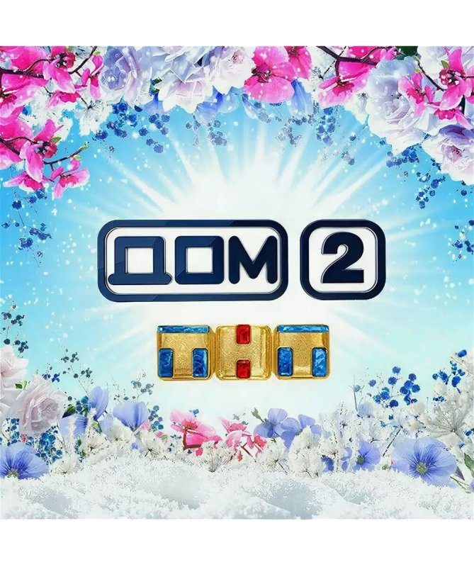 Дом 2 ТНТ логотип