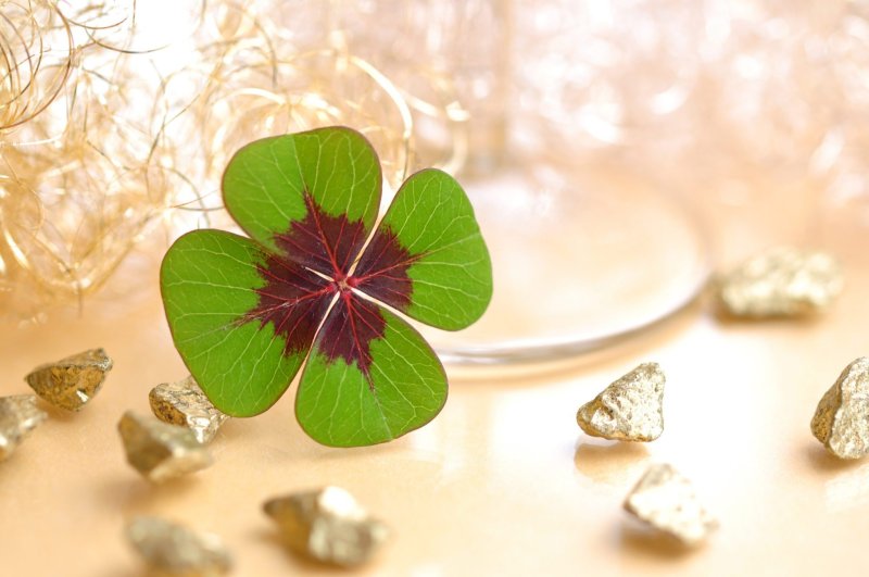 Четырёхлистный Клевер на удачу