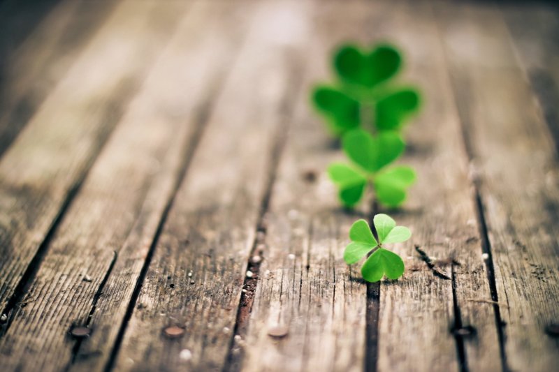 Четырехлистный Клевер HD