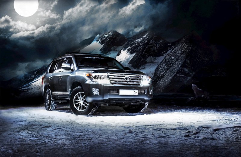 Тойота ленд Крузер 200 в лесу