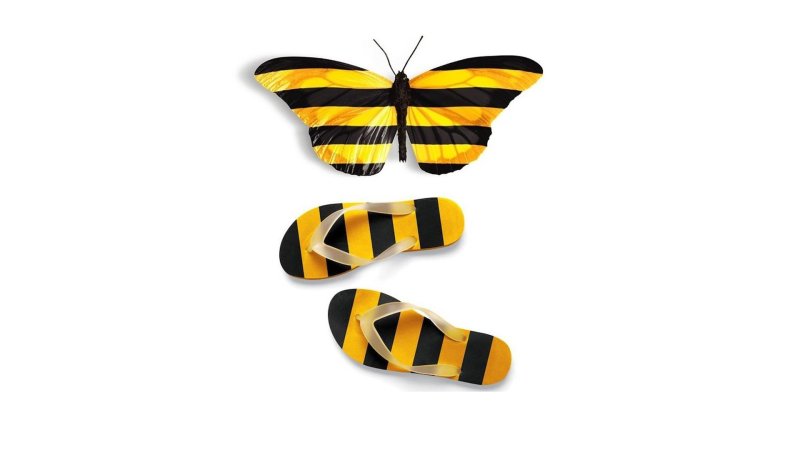 Билайн бабочка