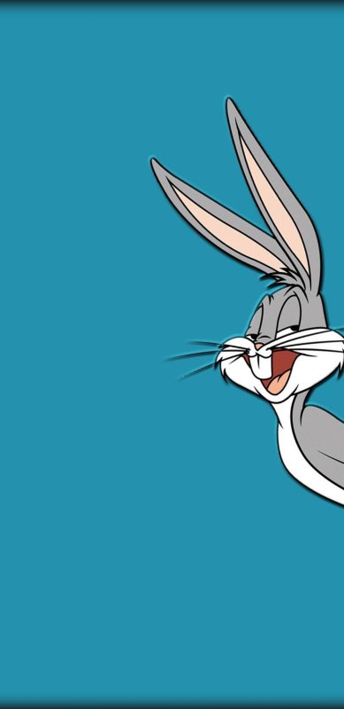 Кролик Бакс бани