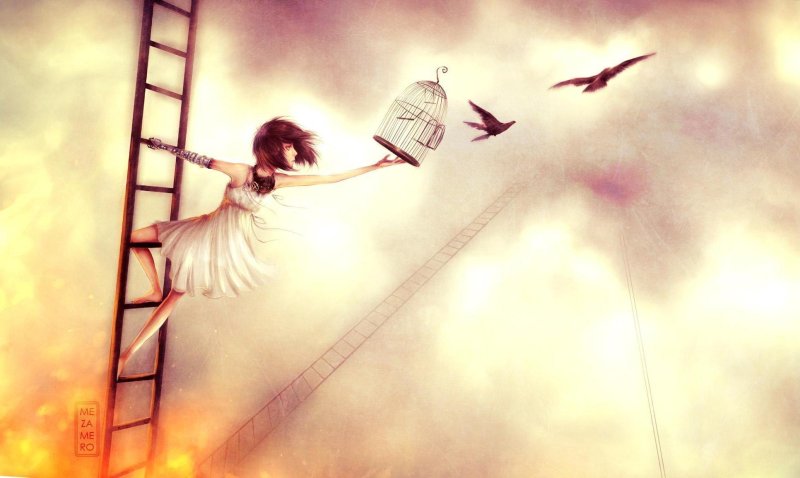 Птица улетает из клетки