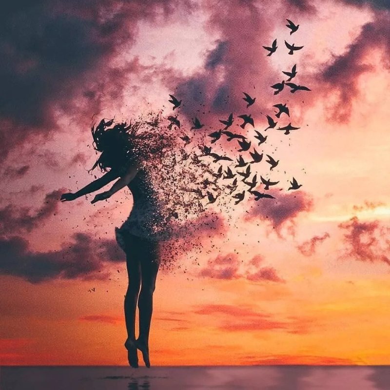 Девушка закат птицы