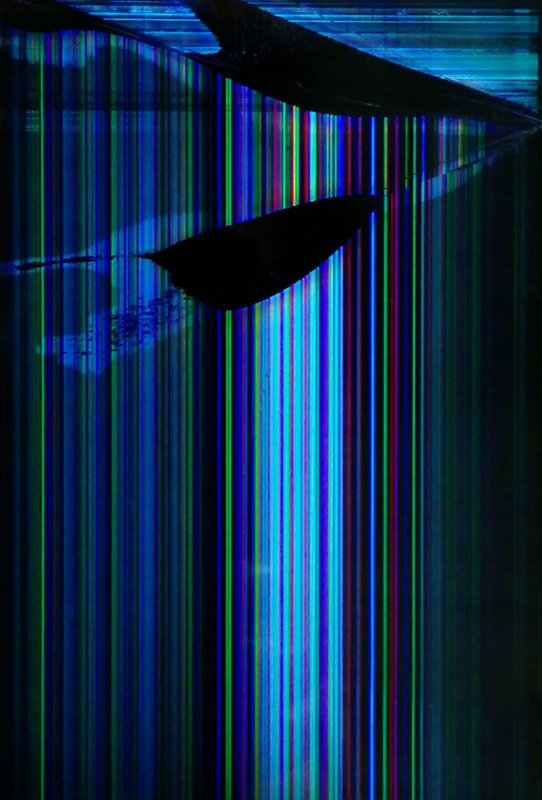 Сломанный экран телефона