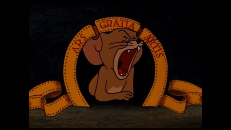 Metro Goldwyn Mayer том и Джерри