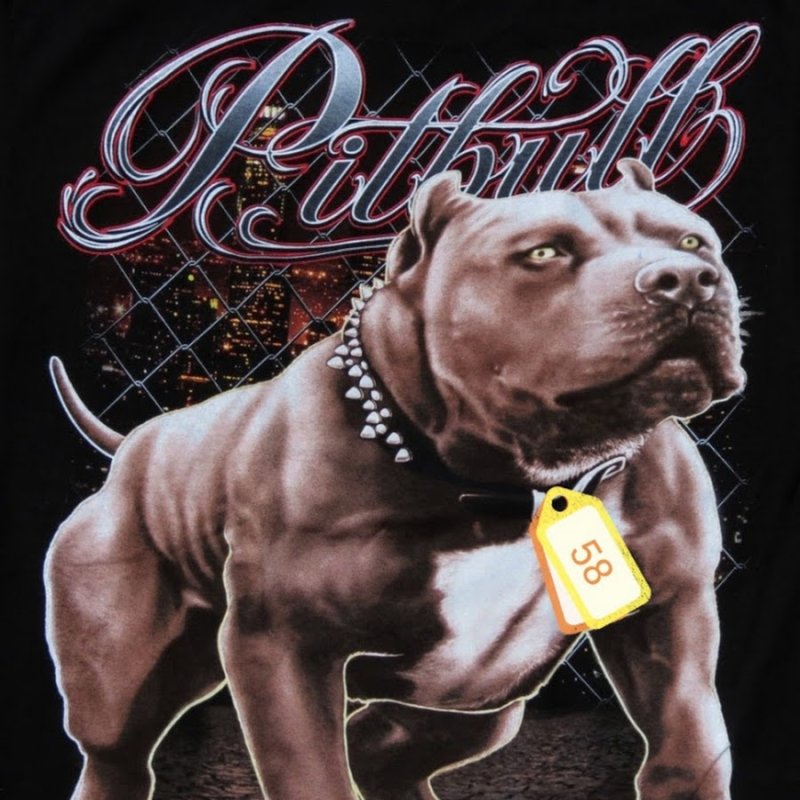 Питбуль собака