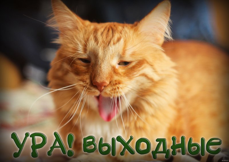 Выходные фото