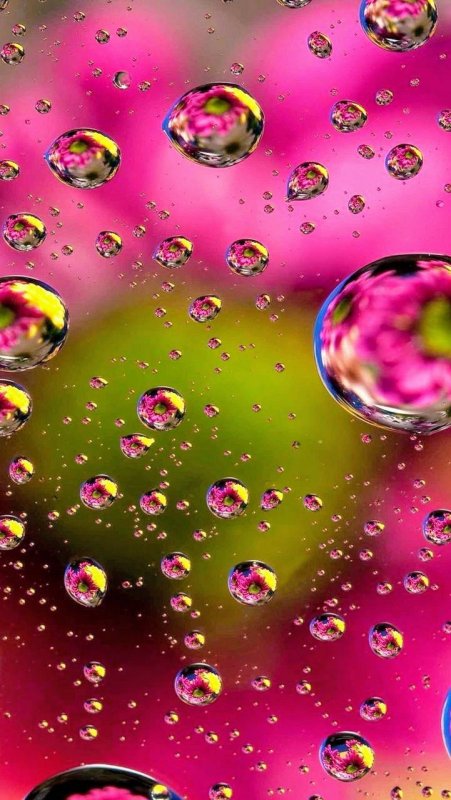 Красивые обои на телефон