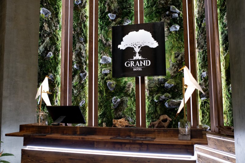 Логотип отеля Гранд Лион