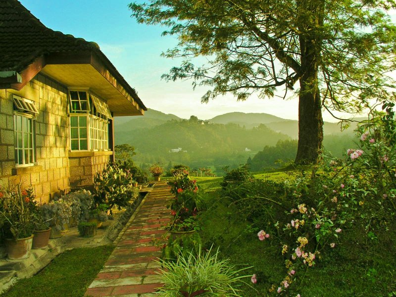 Красивые домики на природе