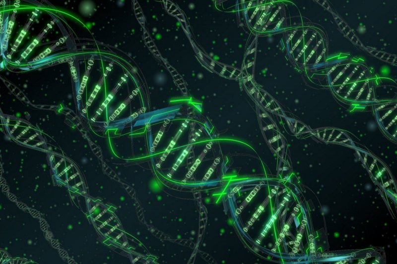 ДНК паттерн