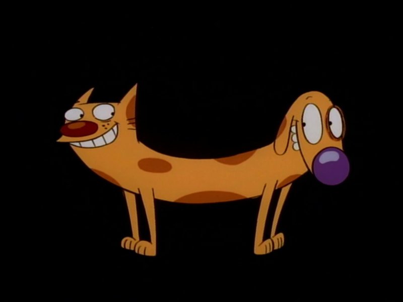 Котопес герои мультика