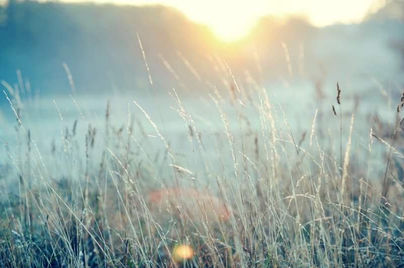 Умиротворяющий пейзаж