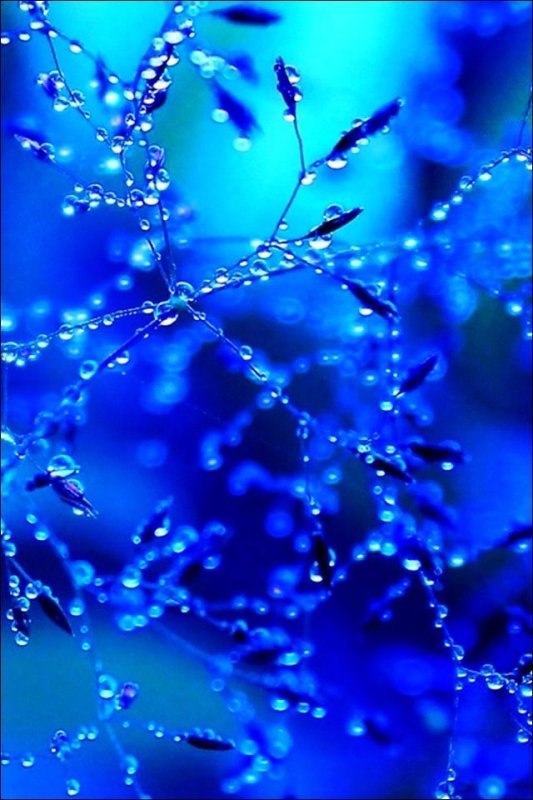 Яркий синий цвет