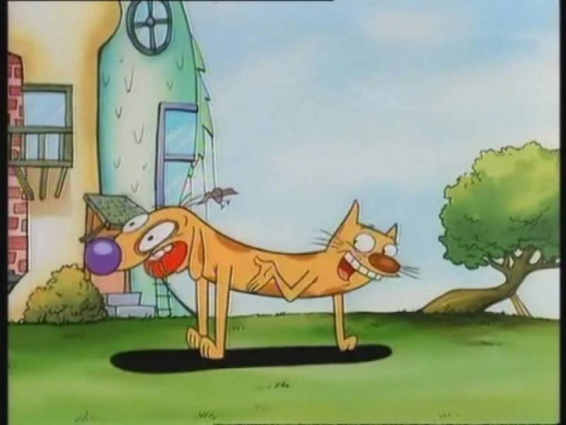 Котопёс мультик