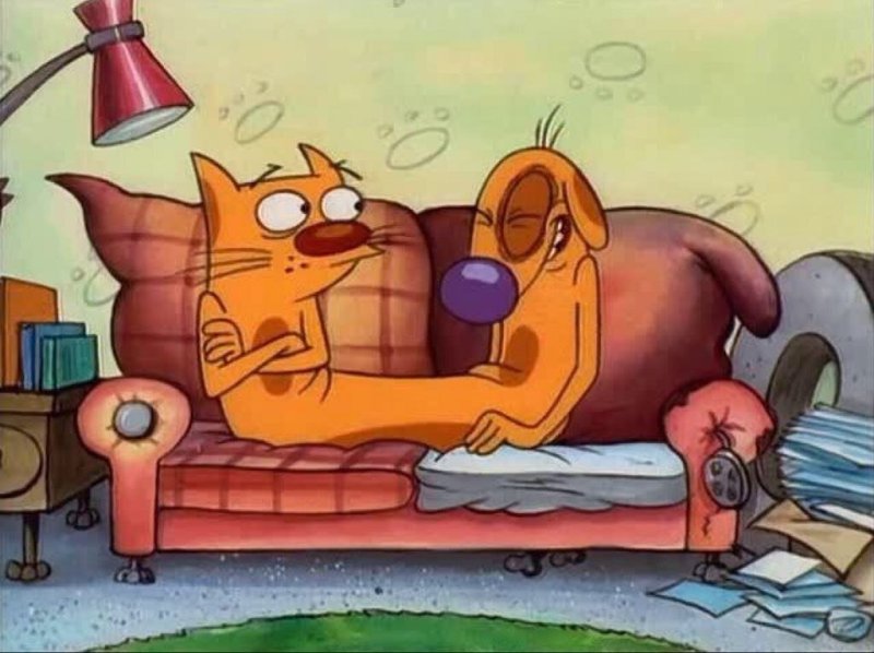 Котопес мультсериал