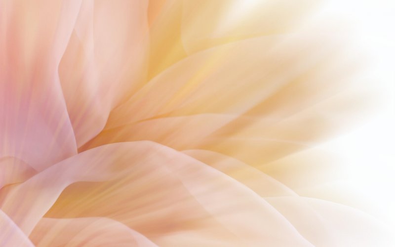 Бежевый фон