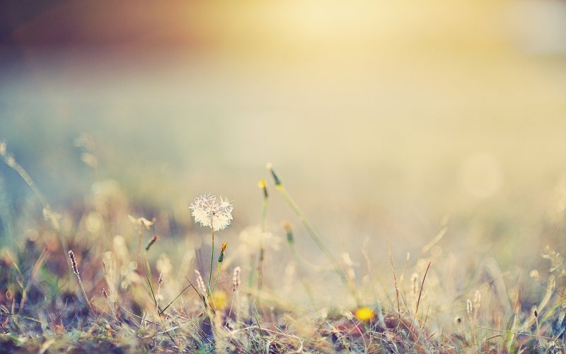 Пейзаж в нежных тонах