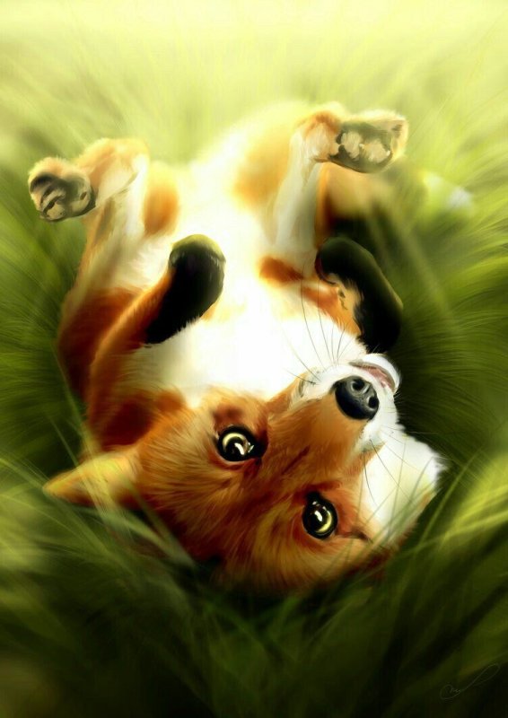 Милые рисунки животных