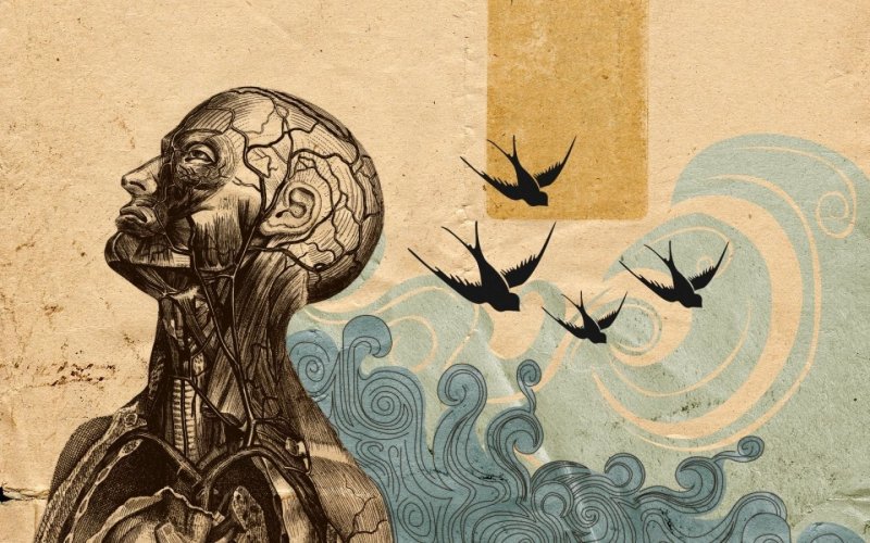 Философия картинки