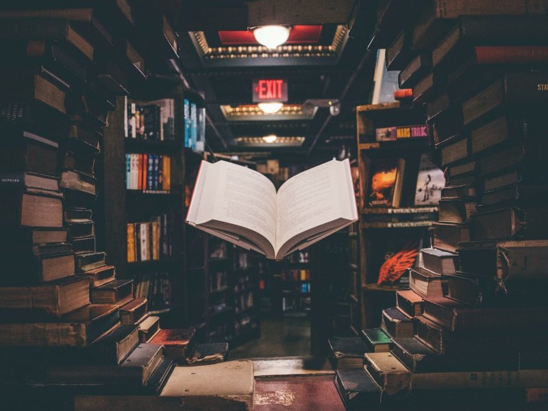 Полки с книгами в библиотеке