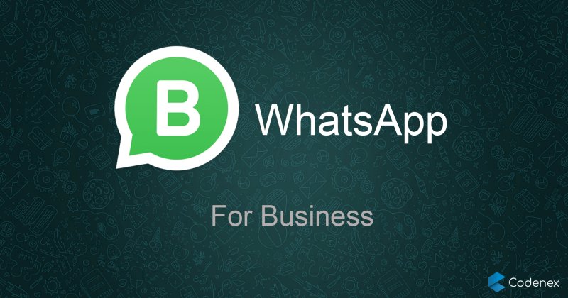 Знак WHATSAPP Business