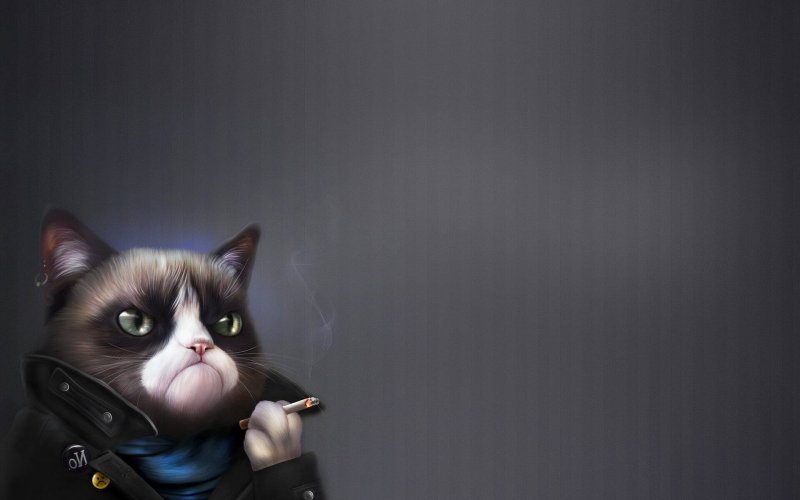 Фон на рабочий стол прикольные