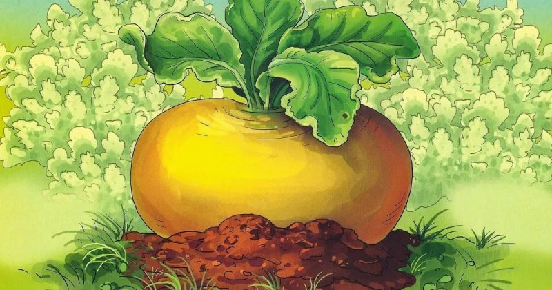 Редка сказка