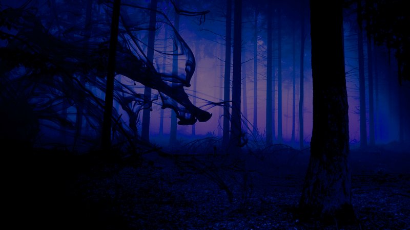 Страшный лес