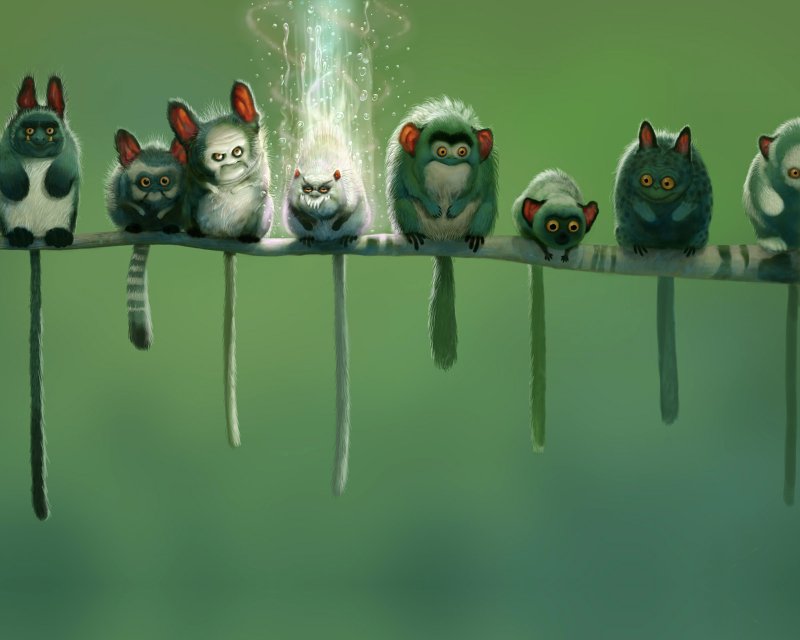 Фон для рабочего стола смешные