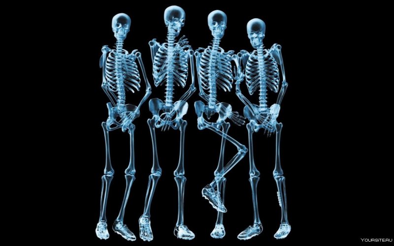 Снимок скелета