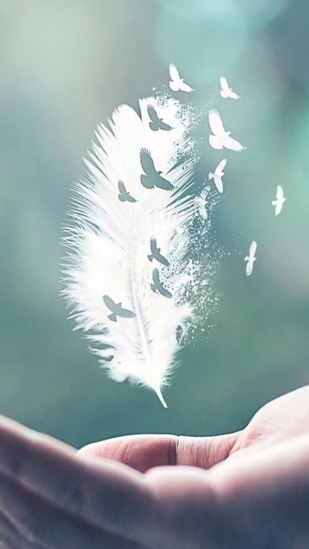 Перо счастья