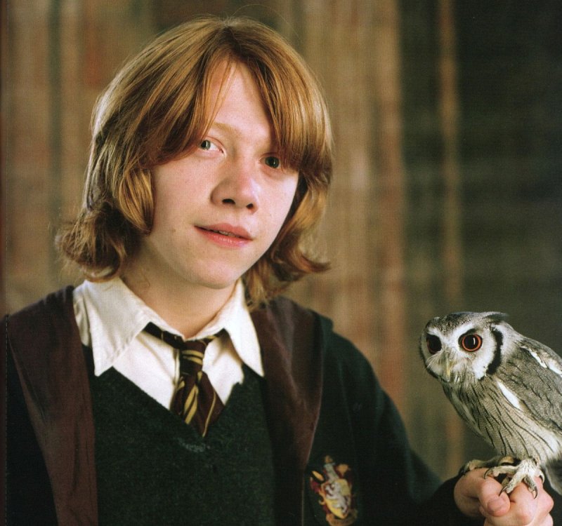 Гарри Поттер и Кубок огня Рон Уизли