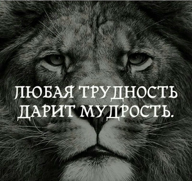 Красивые статусы на аватарку