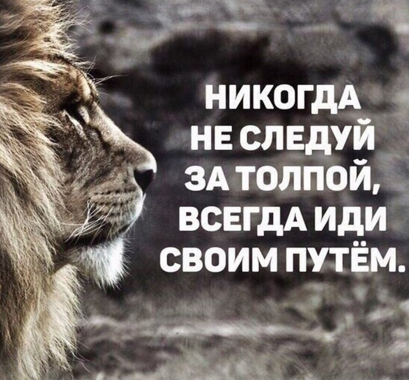 Никогда не Следуй за толпой