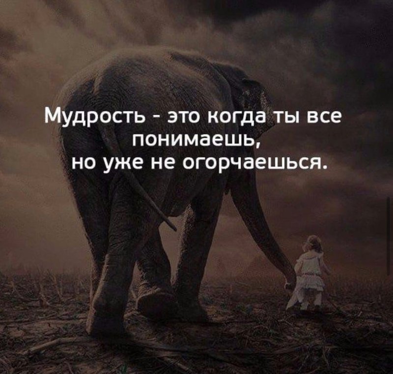 Мудрые цитаты