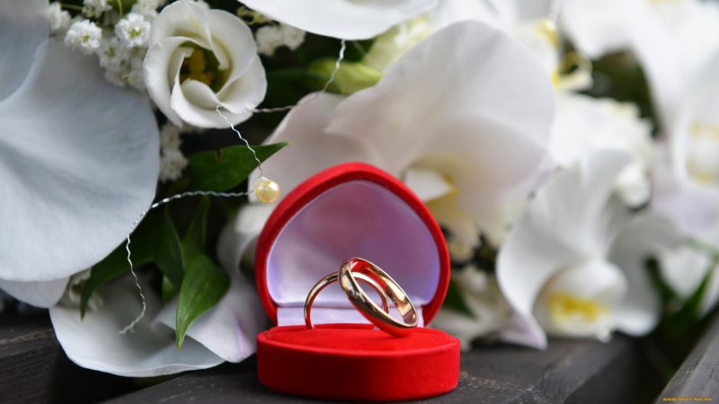 Свадебные кольца