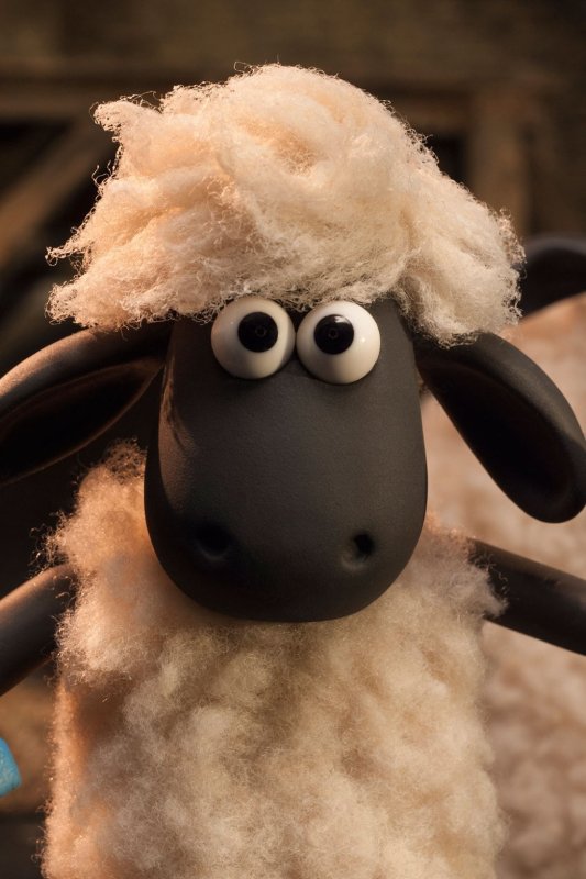 Барашек Шон 2015