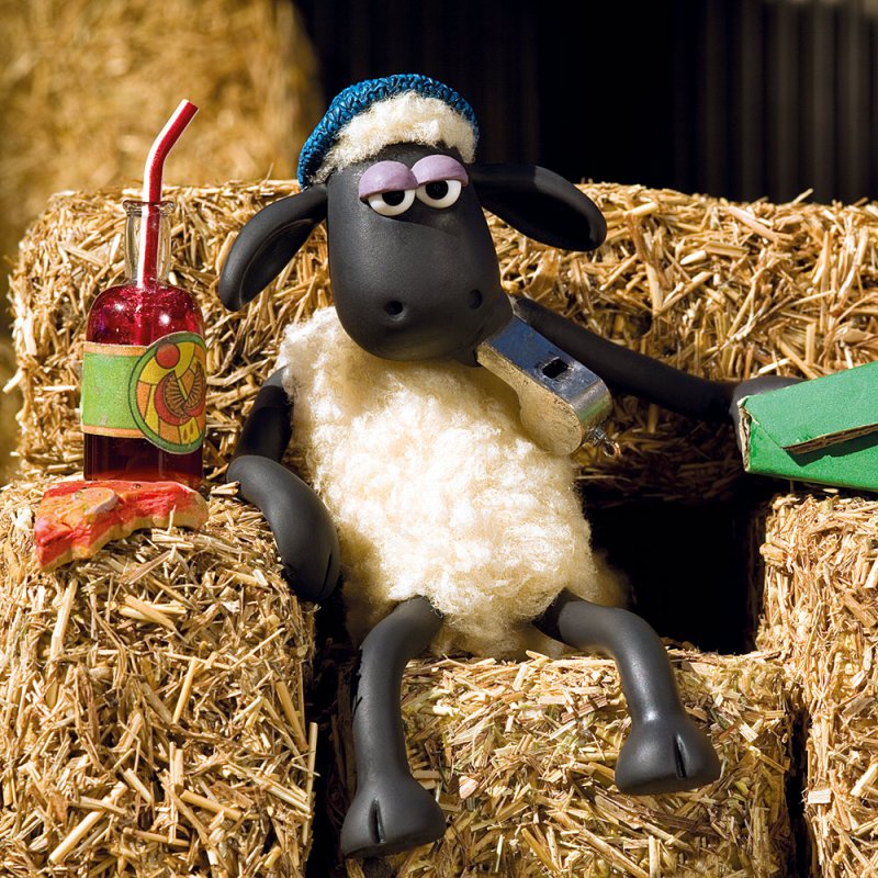 Барашек Шон