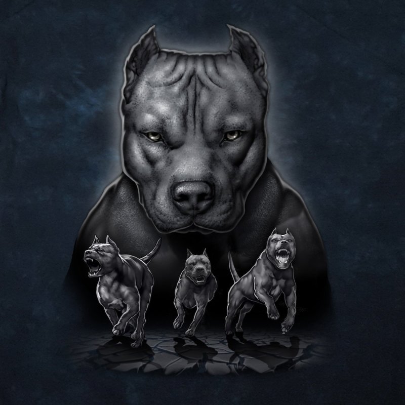 Брэд пит Буль