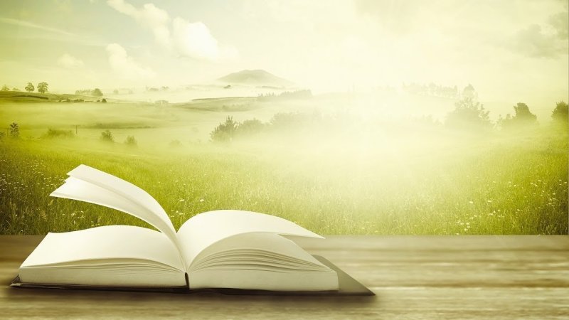 Фон для выставки книг