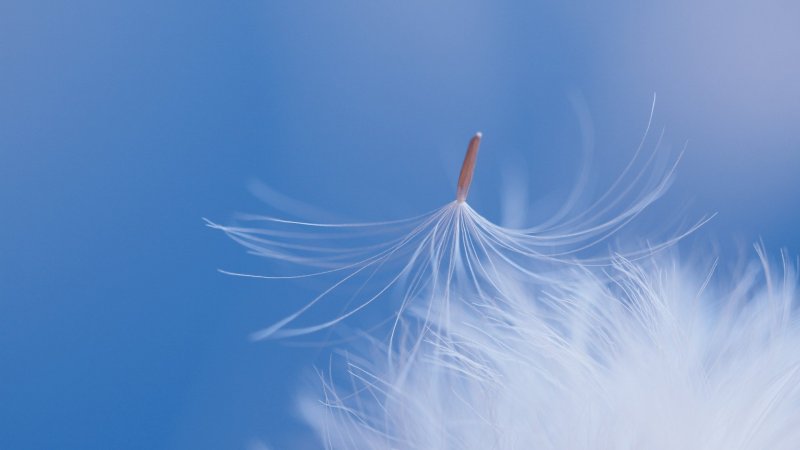 Заставка на рабочий стол светлая