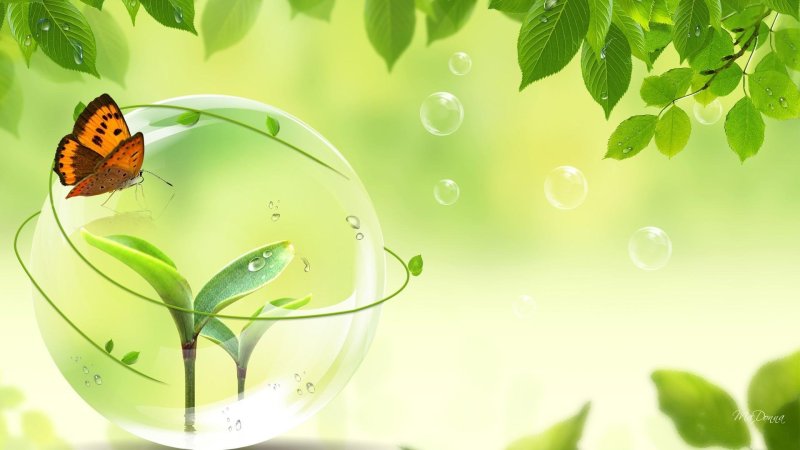 Фон для презентации по экологии