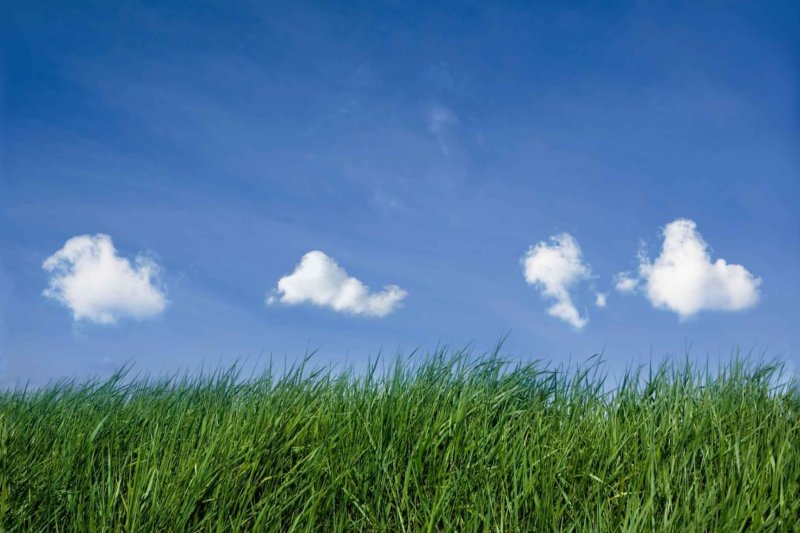 Чистота воздуха