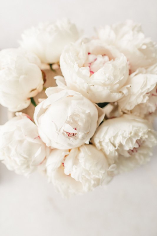 Цветок "пион"