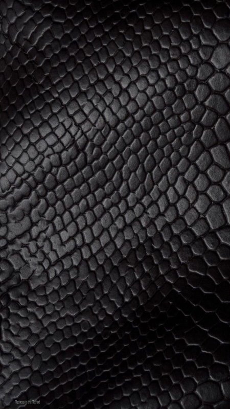 Черная кожа