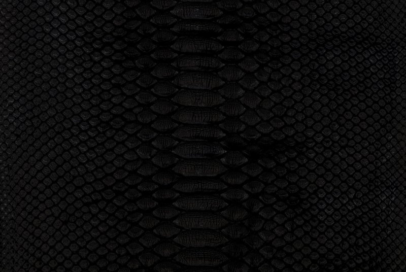 Чешуя дракона бесшовка