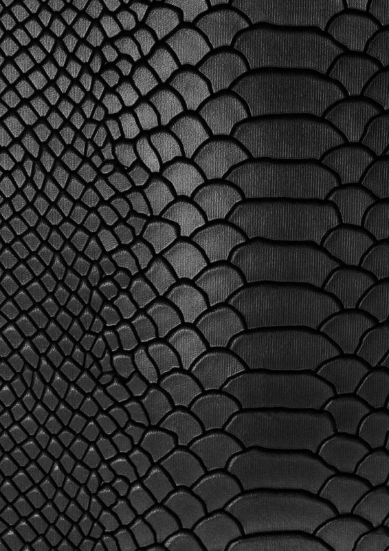 Чешуя Блэк мамбы