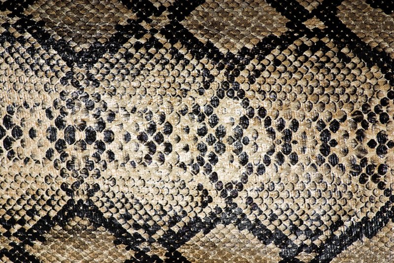 Змеиная кожа